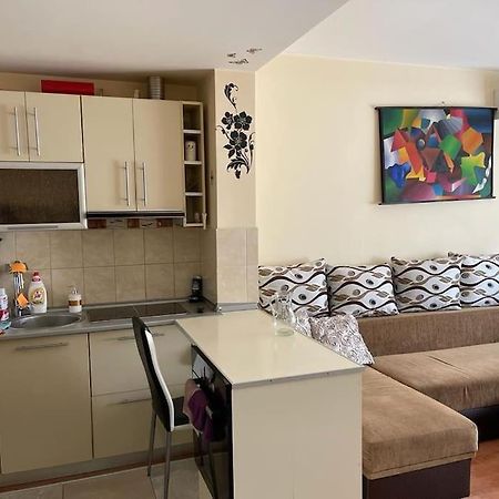 Apartament Cu Un Dormitor / One Bedroom Apartment Satu Mare Dış mekan fotoğraf