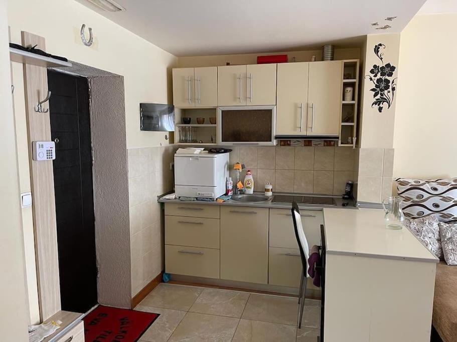 Apartament Cu Un Dormitor / One Bedroom Apartment Satu Mare Dış mekan fotoğraf